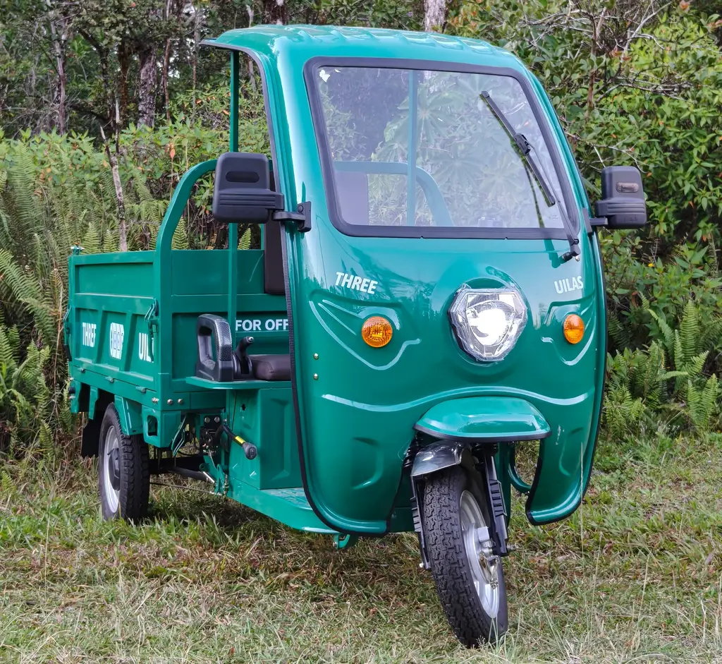 Three Uilas Workhorse, view 8 of 11