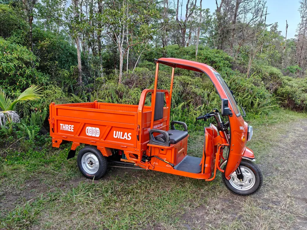 Three Uilas Workhorse, view 11 of 11