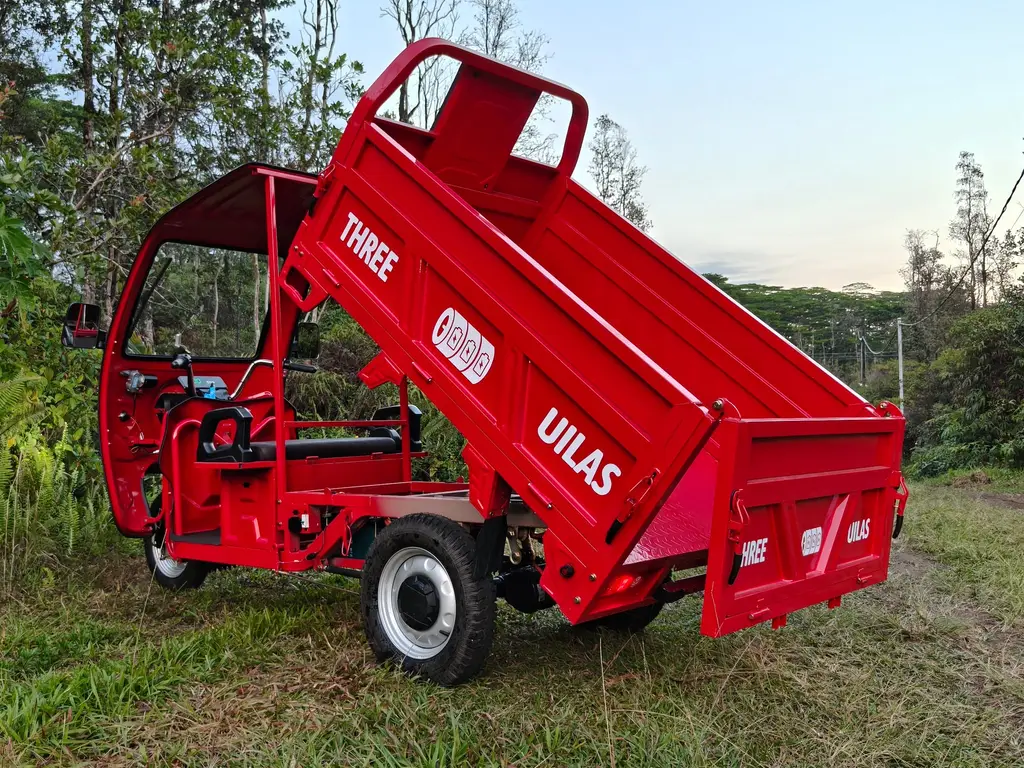 Three Uilas Workhorse, view 7 of 11